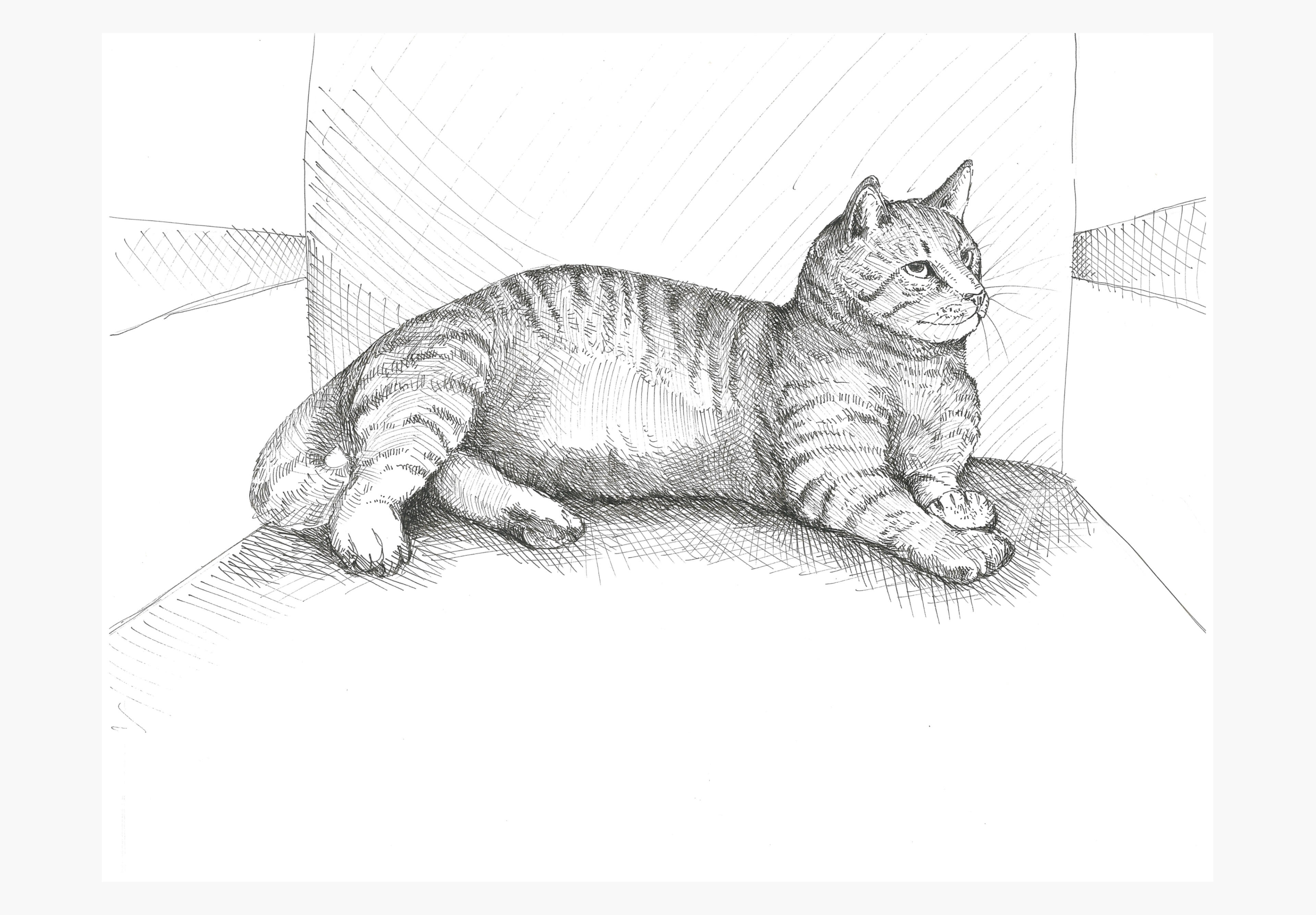 Kyle in the Chair, Ink on Paper, 9x12 in. Direct Observation Study, 2026